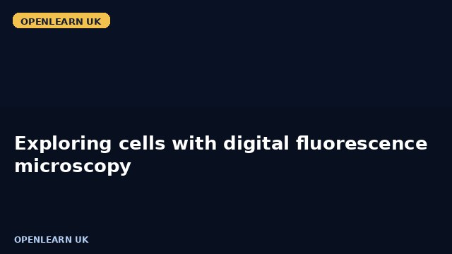 Exploring cells with digital fluorescence microscopy
